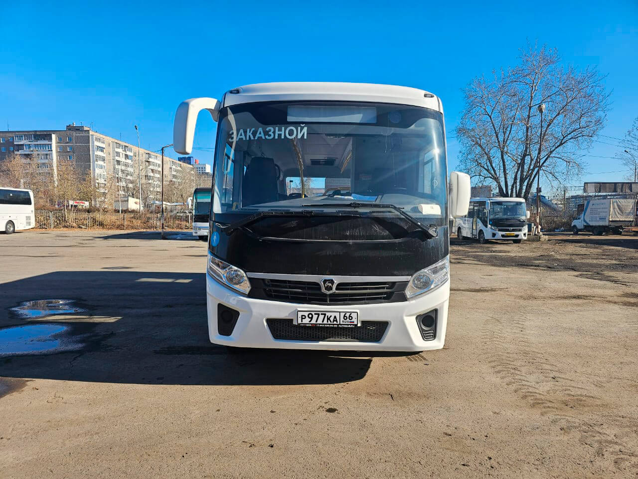 ПАЗ Вектор Next аренда