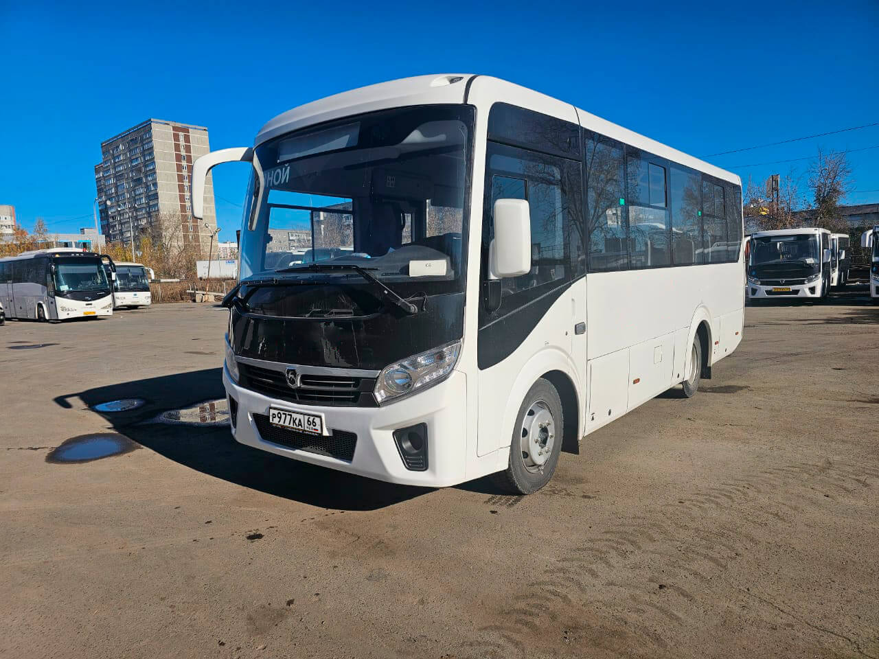 ПАЗ Вектор Next аренда